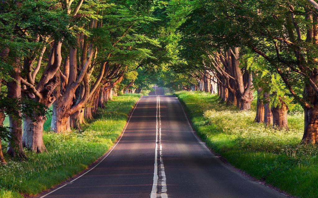 Camino por recorrer